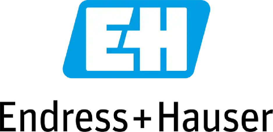 Endress + Hauser logo