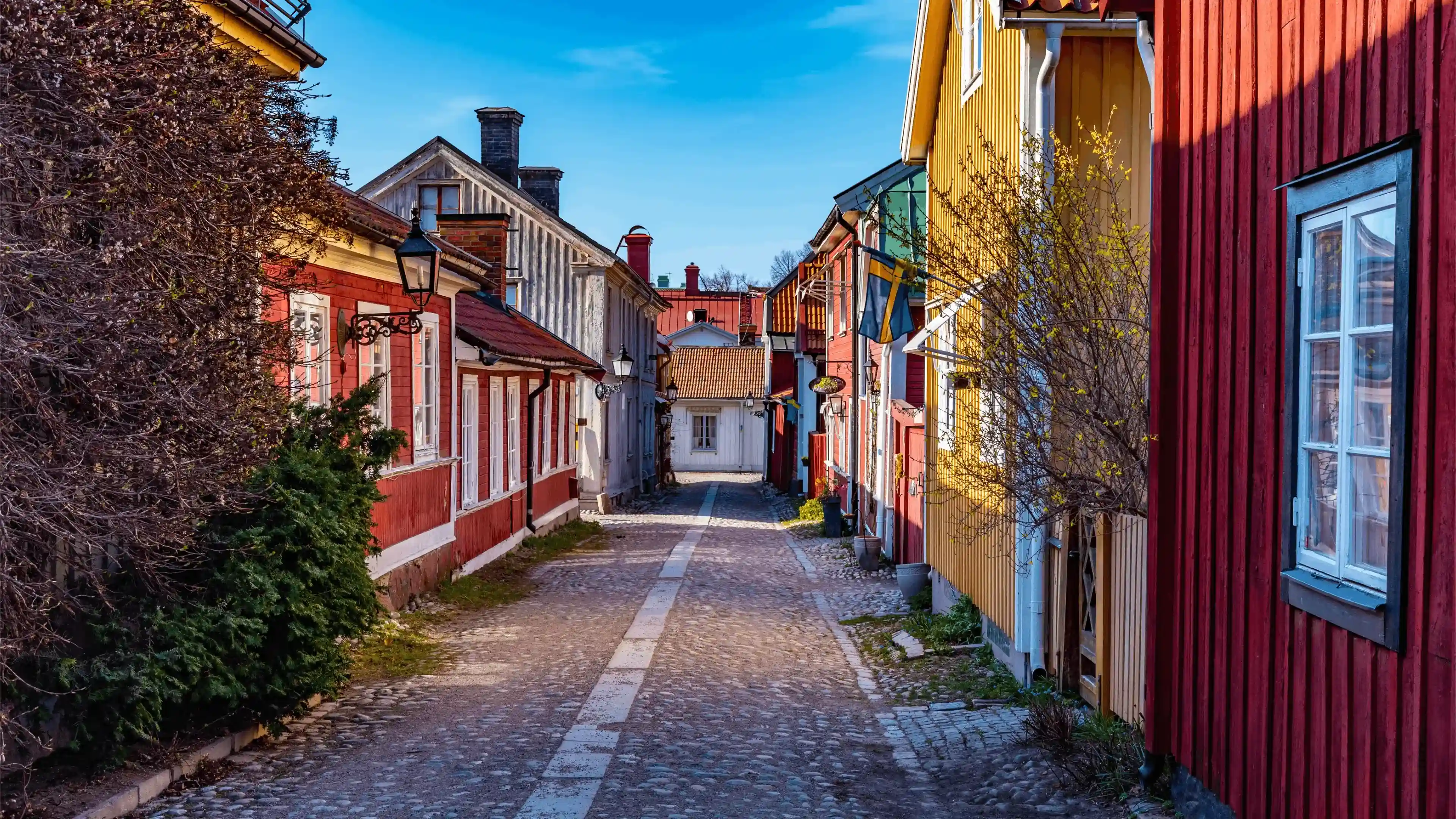 A cobblestone street lined with colorful wooden buildings. Traditional houses with painted facades and windows, along with small trees, line the narrow street beneath a clear blue sky.